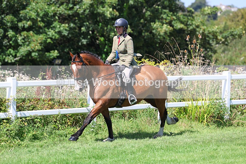 3E7A9233 - Working Hunter Championship