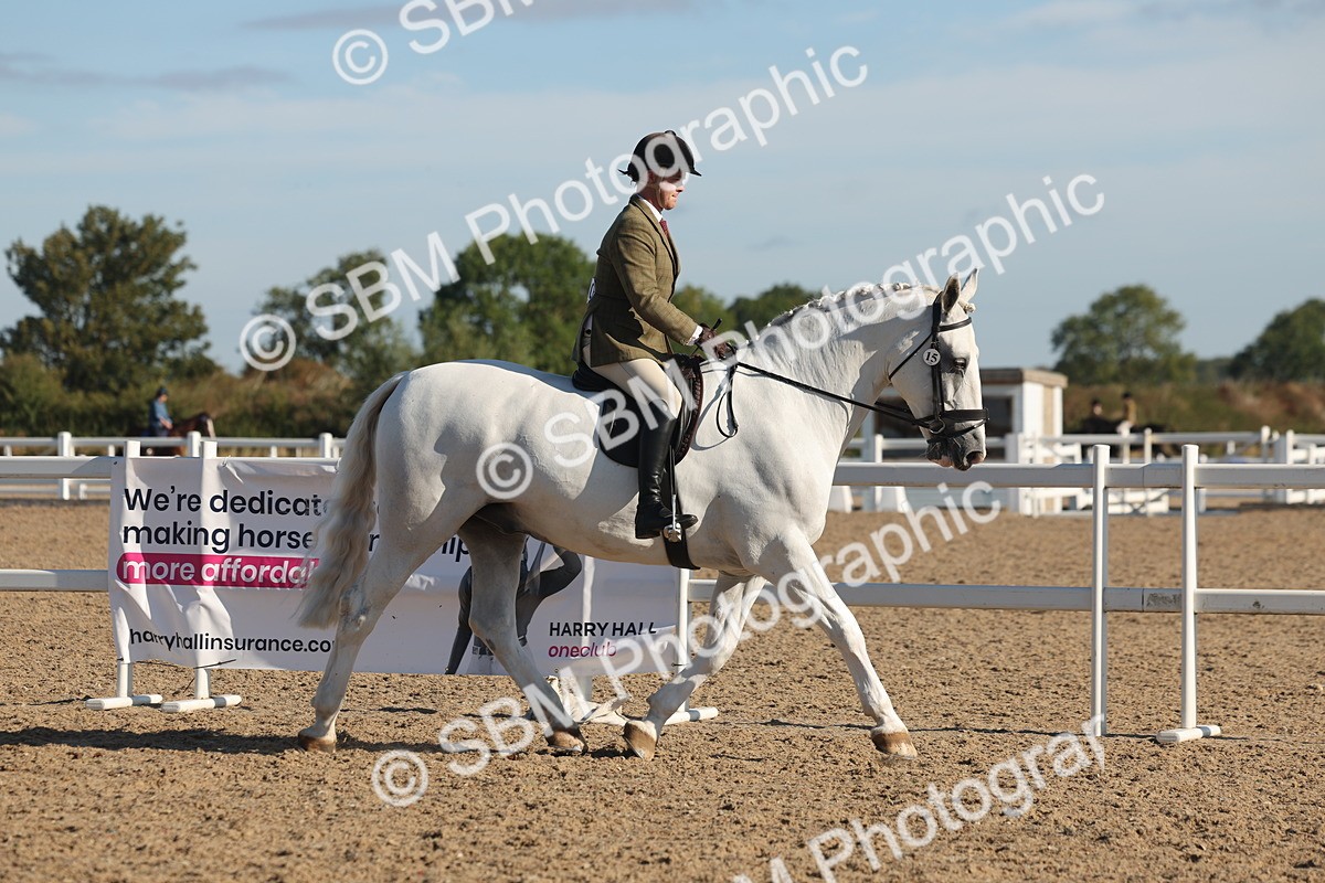 SBM_12158 - Class 303 - Ridden Pure Bred Horse Pony
