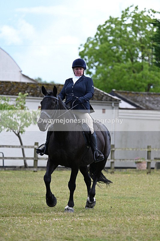 WJ7_9541 - Class 8 Ridden Veterans