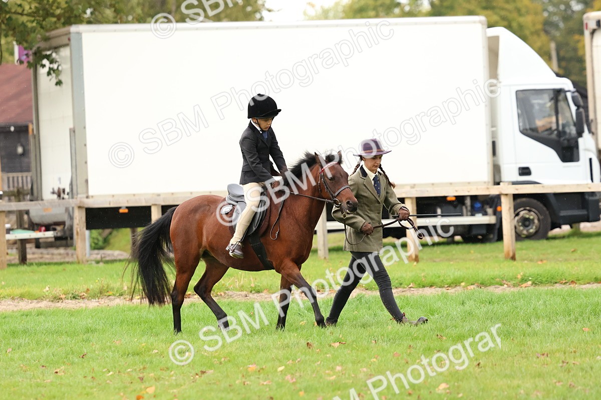 SBM_45032 - S27 - Young Veteran Ridden