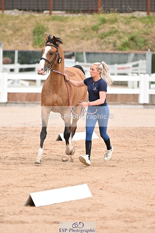 250716-151228-01764 - Trot Up 2.30 to 3.30