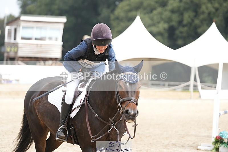 250824A-121524-35898 - 2053-Ava.Sampson-Chameleon