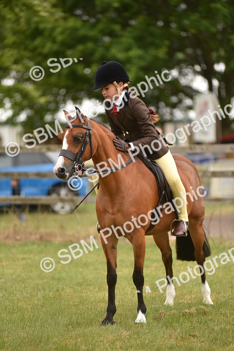 SBM_10721 - Class 110-112 - LIHS BSPS Performance Pones