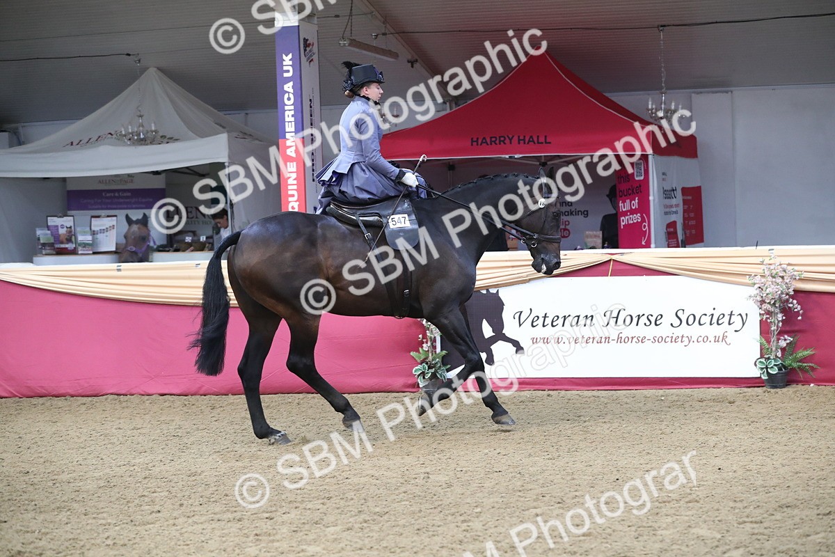 SBM_11560 - Class 105 Ridden Costume- Side Saddle