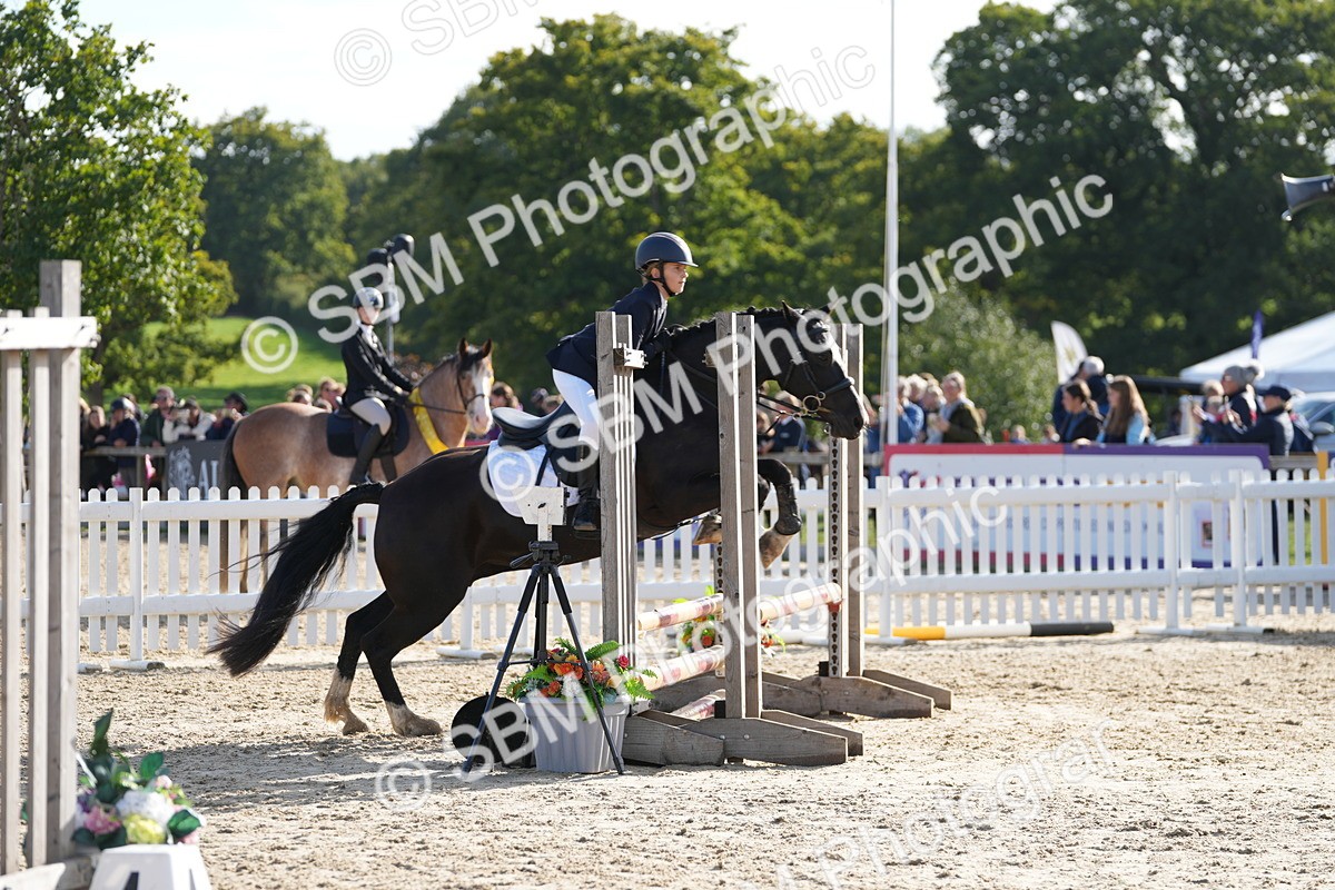 SBM_49403 - J8 - Junior Pony 65cm Championship