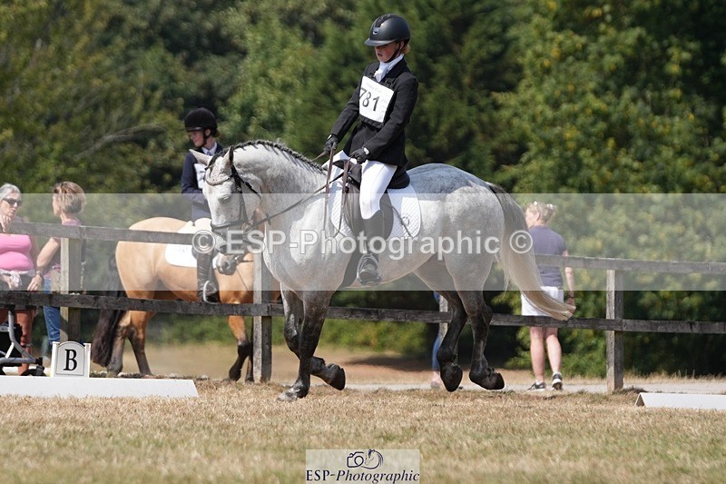 250823A-134719-31246 - Arena A