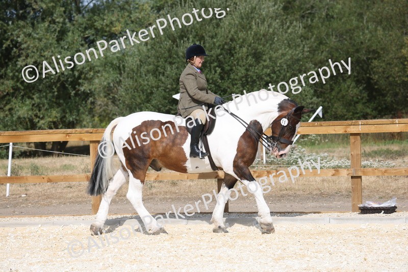 20260802-0404 - Class 6 - Veteran Ridden