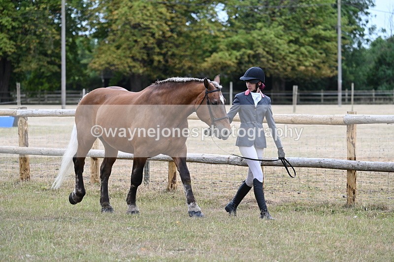 WJ7_8896 - Class 4a Prettiest Mare 14.2hh and over