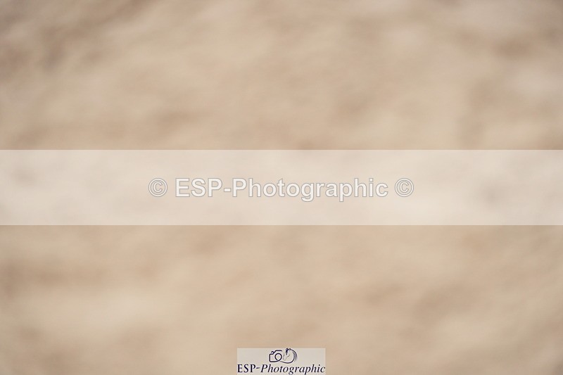 230924A-131816-06104 - 90 SJ Start to 14.00