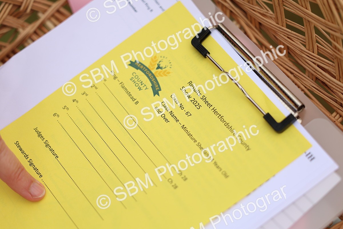 SBM_03491 - Class 58-67 - M&M Non Welsh Pony In hand