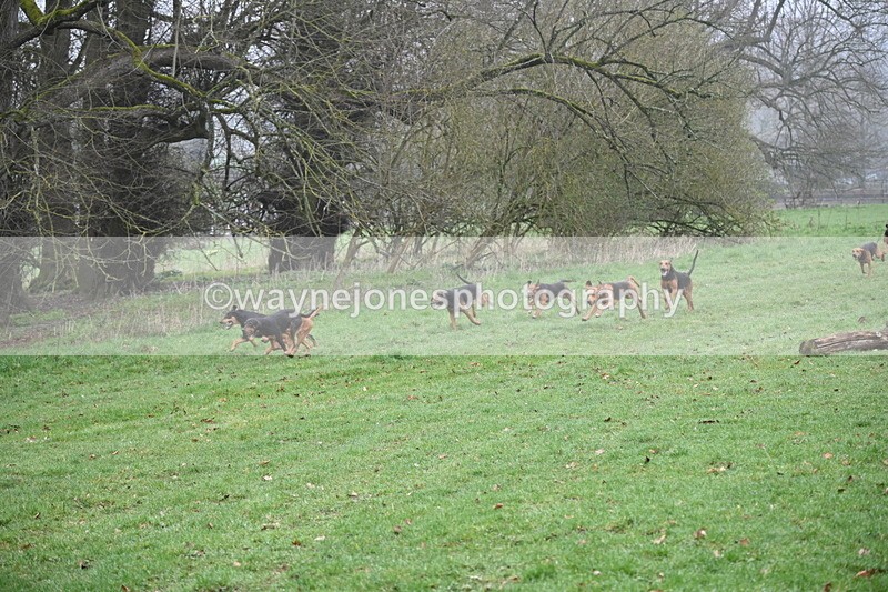 WJ6_9868 - Line 1 cam B