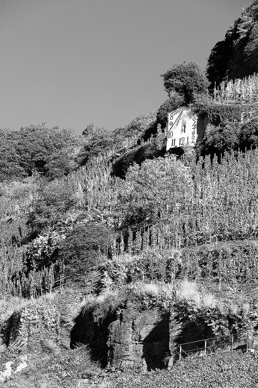  - Vineyards & Vines / Weinberge & Reben
