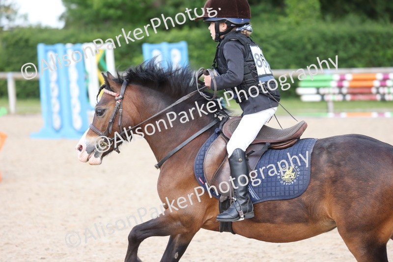 20250526-0478 - Class 2 - 50cm