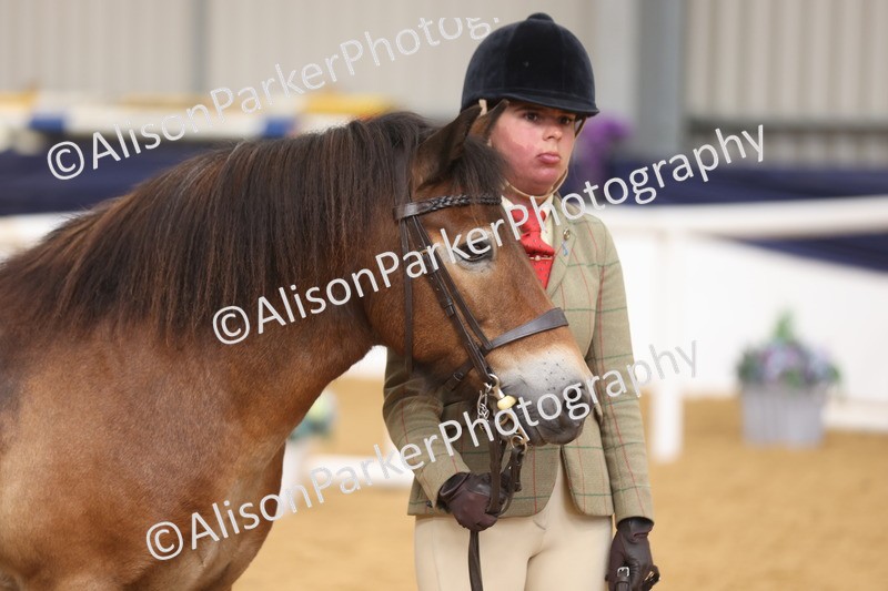 20260913-1721 - Class 115 - Gelding 4years and over