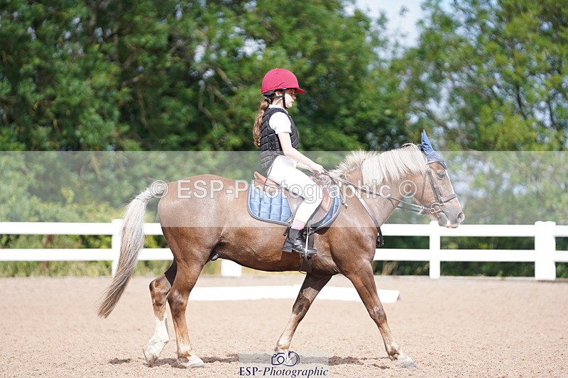 240809A-104852-00670 - Dressage Competition
