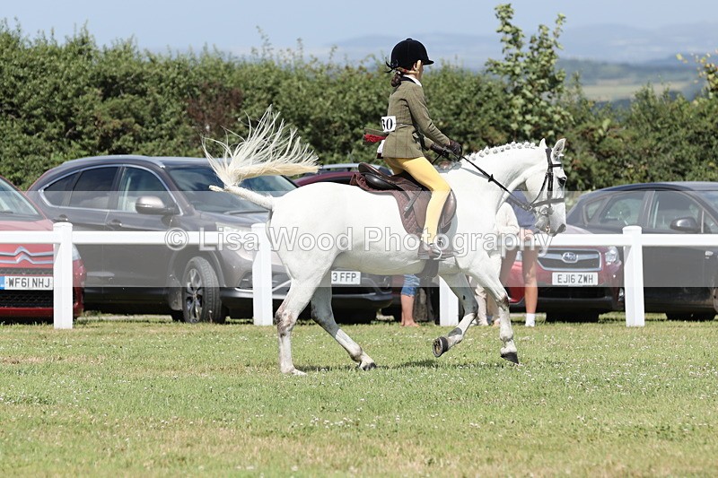 JPP_2104 - Class 19: Working Hunter 60cm