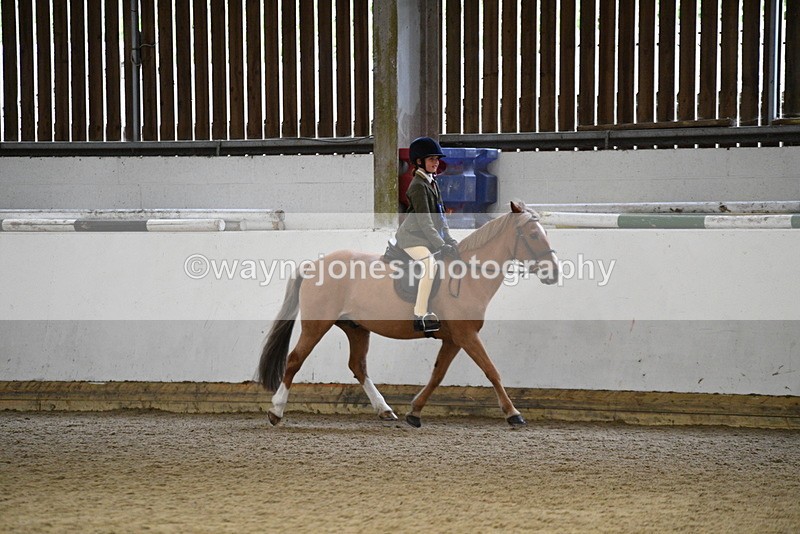 WJ5_7395 - Class 11 Ridden PC - RC Pony