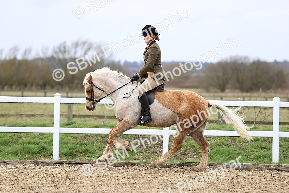 SBM_006933 - Class 29 - 30 - M&M Pure Novice Small-Large Breeds