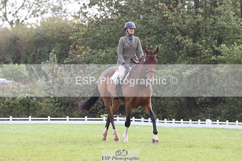 261023A-115736-12561 - D-368-Steffi.Dampney