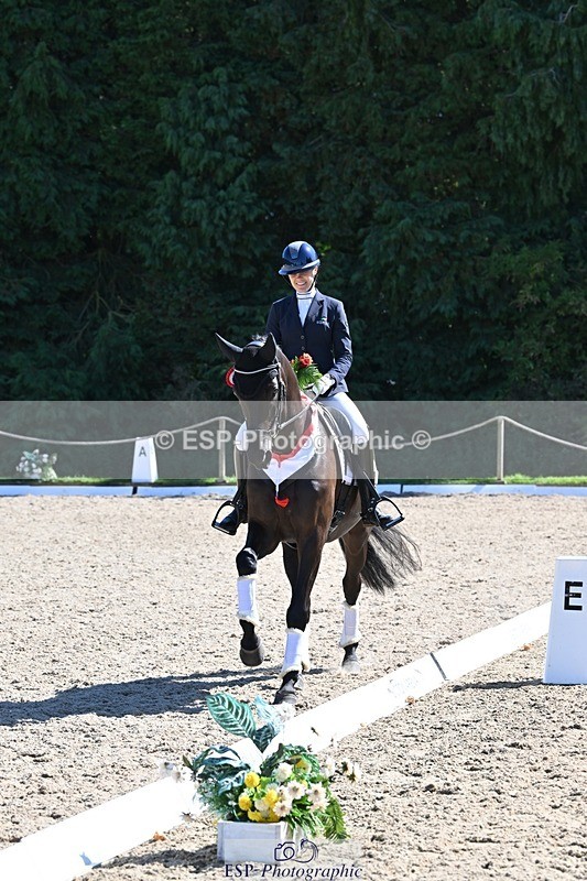 240811-153522-06683 - Adv Medium Gold