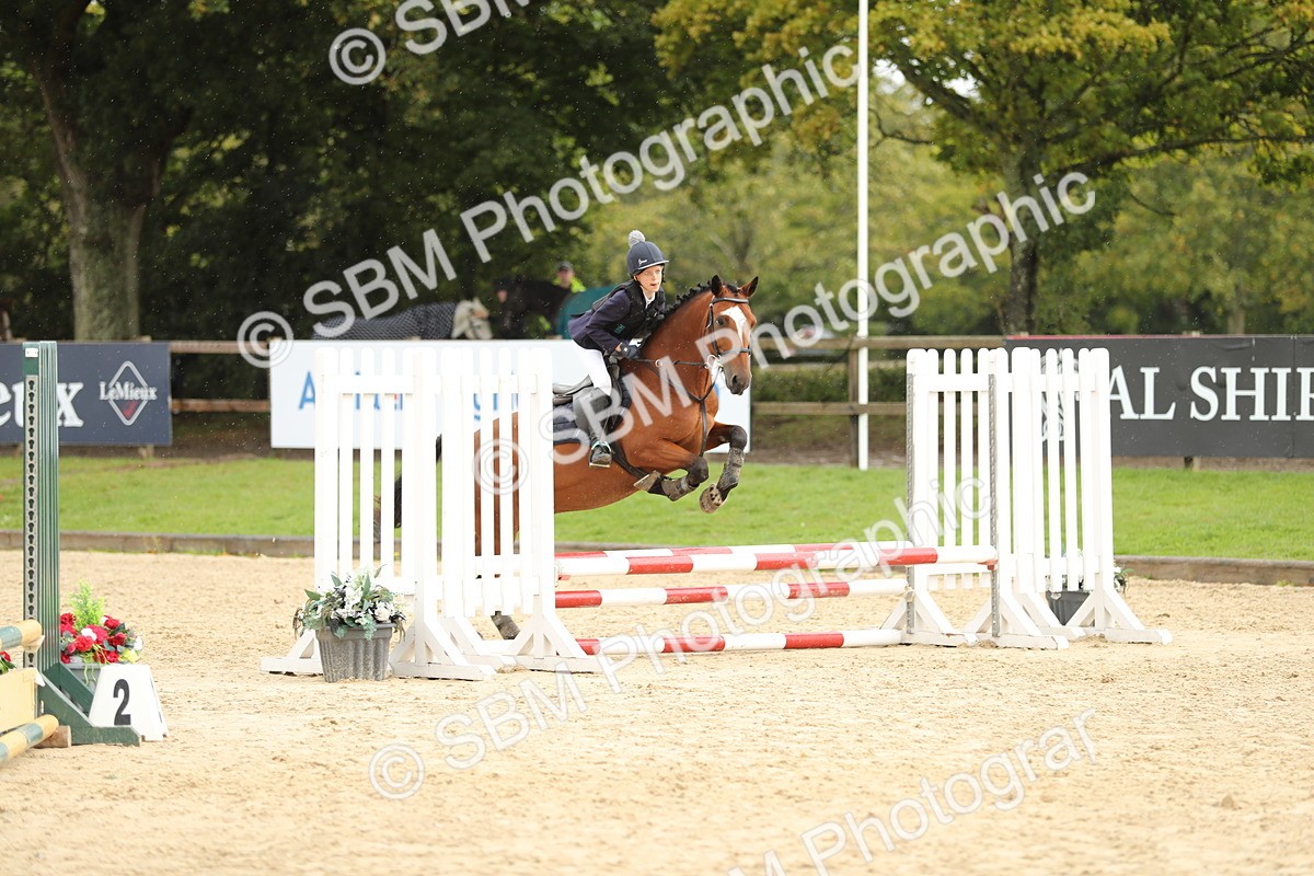 SBM_40368 - J21 - Junior Horse 60cm Championship