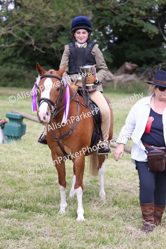 20260614-2171 - Class 21 - Novice Working Hunter Pony
