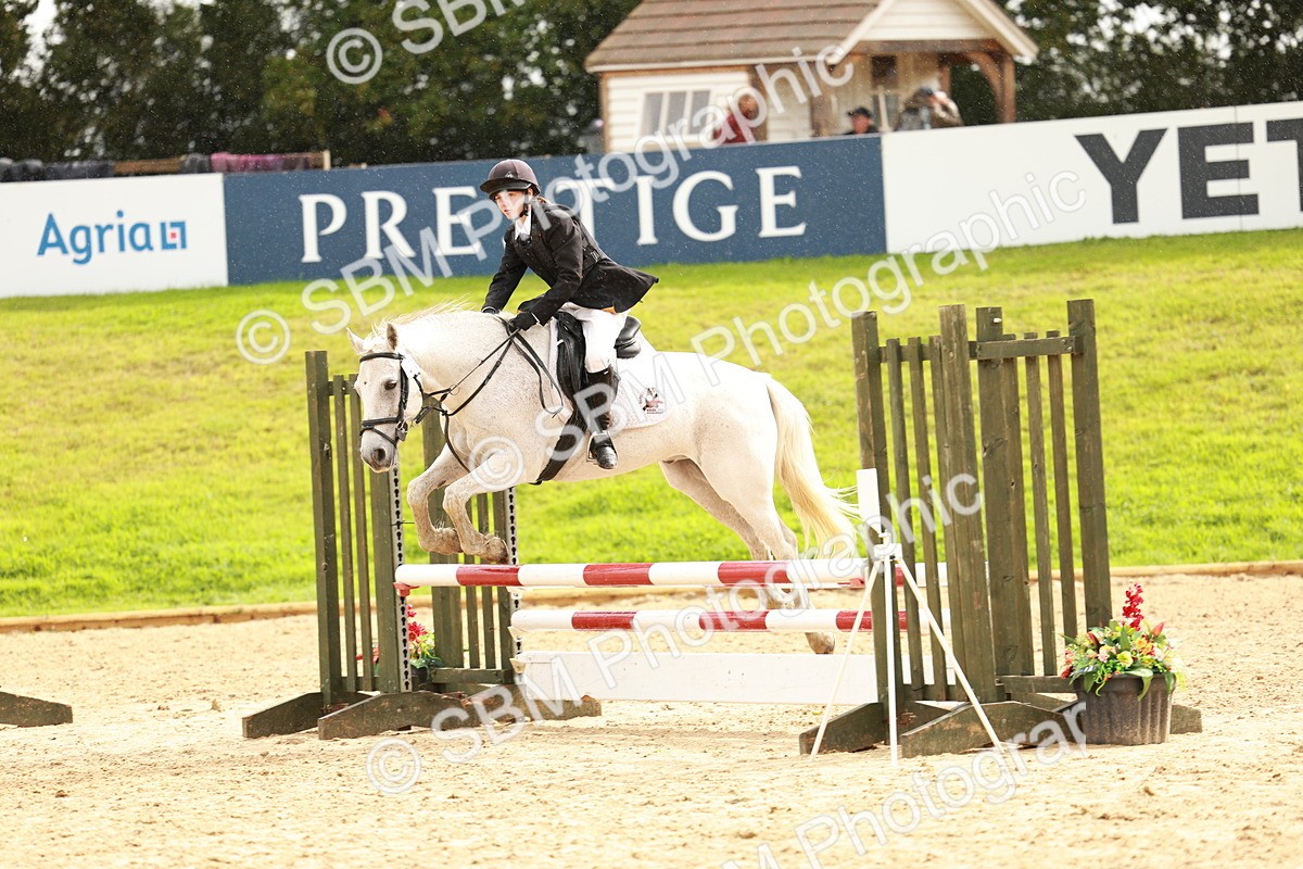 SBM_38382 - Supreme Championship 80cm 85cm