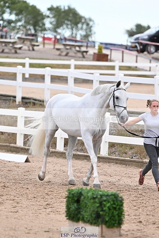 250716-141316-00980 - Trot Up 1.30 to 2.30