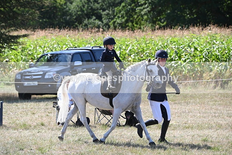 WJ6_7991 - Class 36 Lead Rein