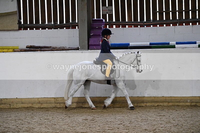 WJ5_7166 - Class 11 Ridden PC - RC Pony