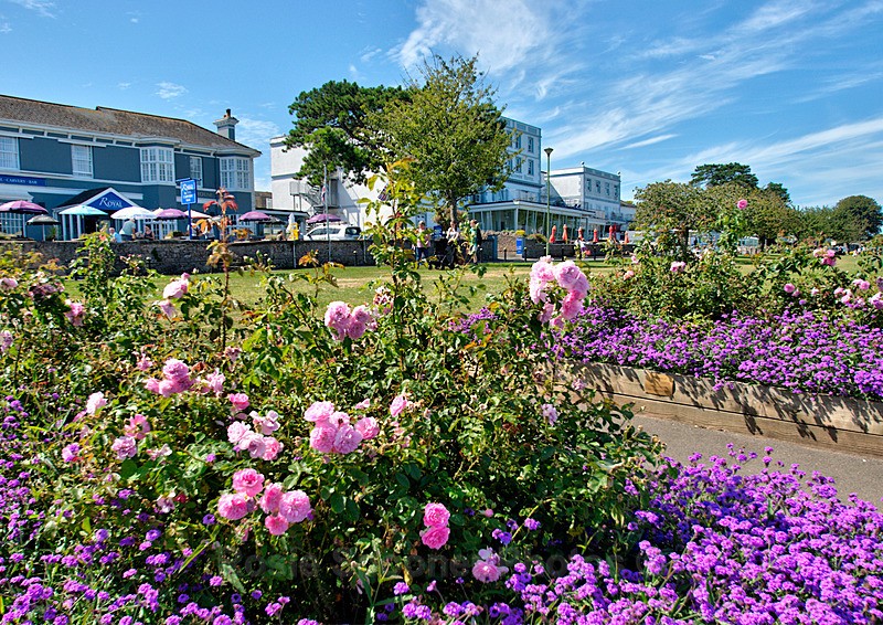 TQ208 - Colourful flowerbeds Babbacombe - Greetings Cards Torquay (Separate galleries for Cockington plus Meadfoot and Ansteys)