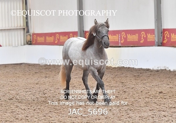 JAC_5696 - 6 Glenmuir Niamh