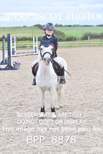 BPP_8878 - CLASS 3 40CM