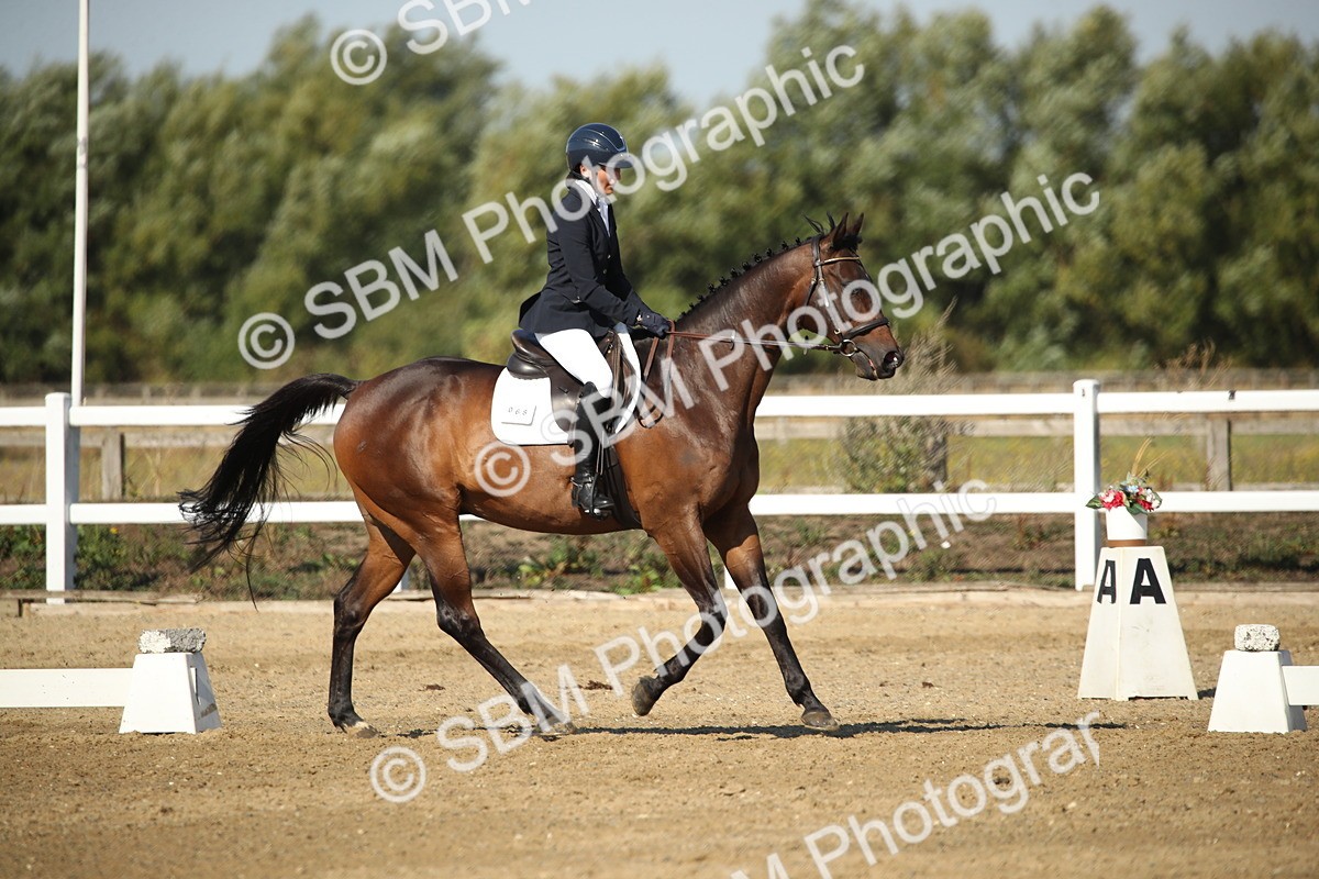 SBM_004590 - Class 11 - Novice 5 - 9.0010.03