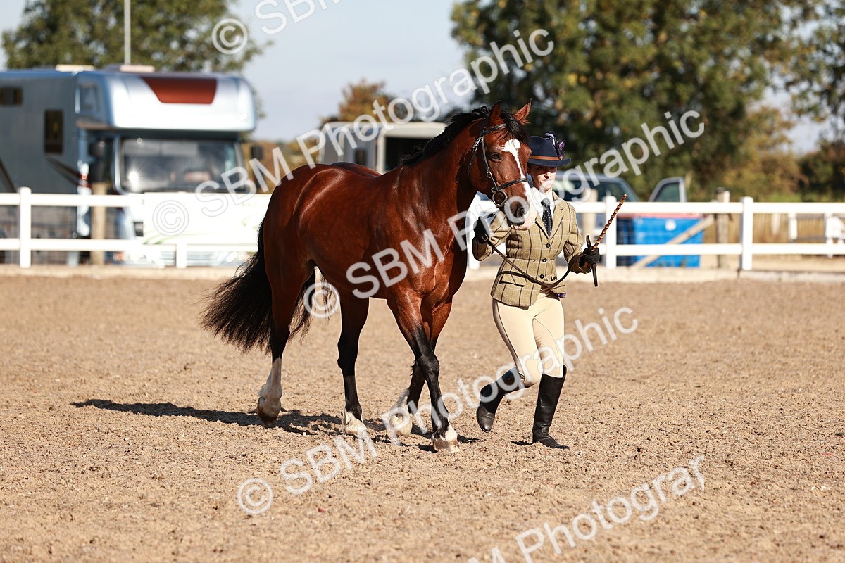 SBM_11421 - Class 402 - IH  Veteran pony
