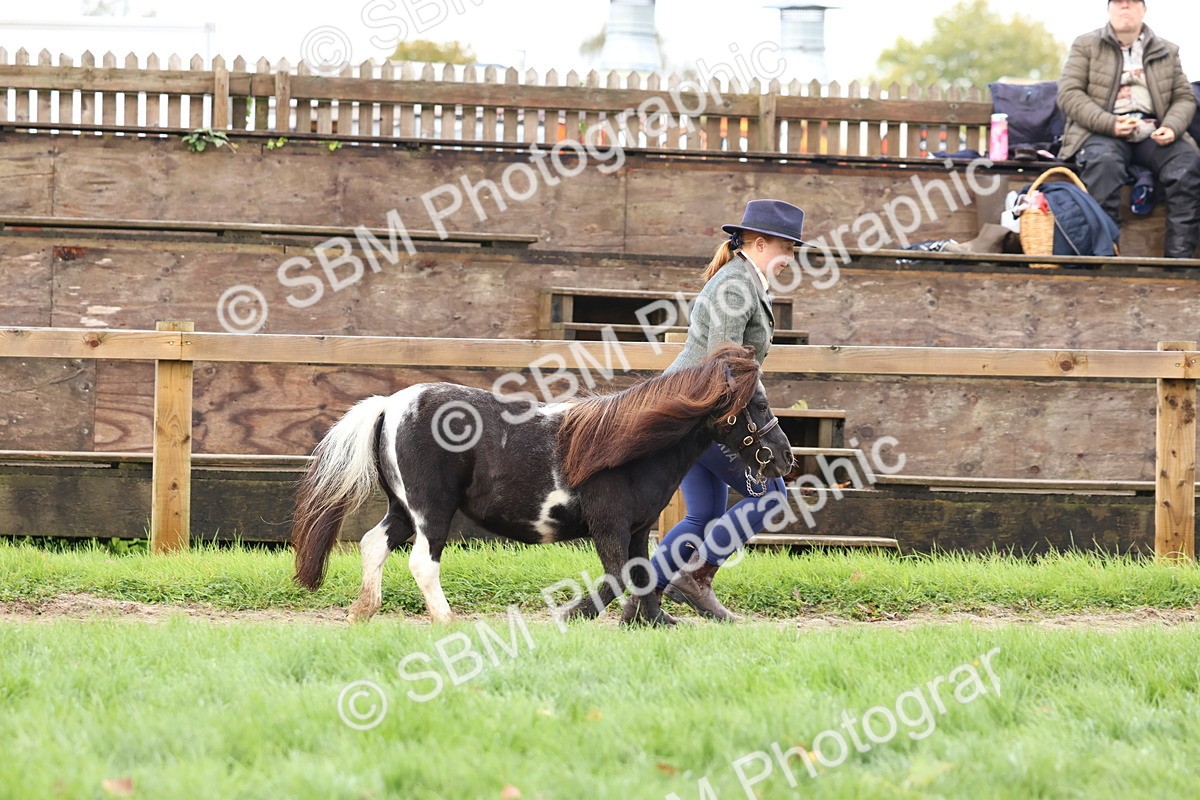 SBM_39461 - S24 - Young Veteran In Hand