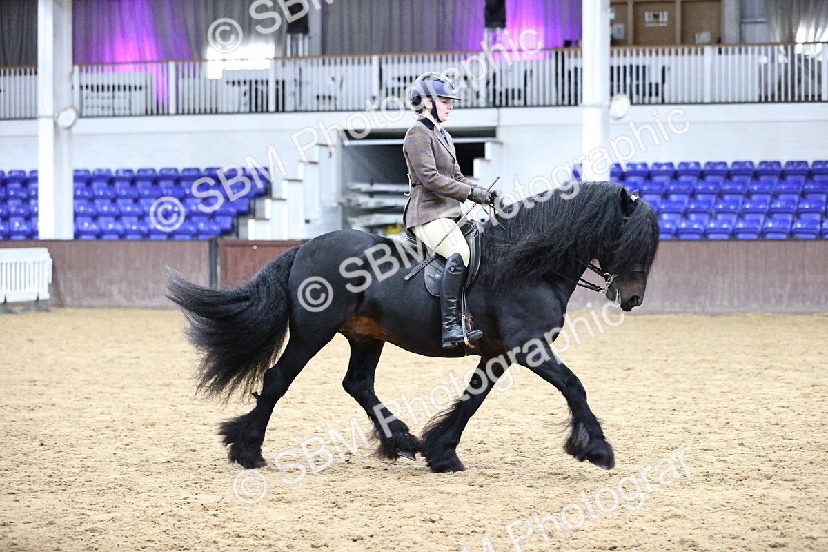 SBM_6546 - Class 43 - Ridden Native Breeds