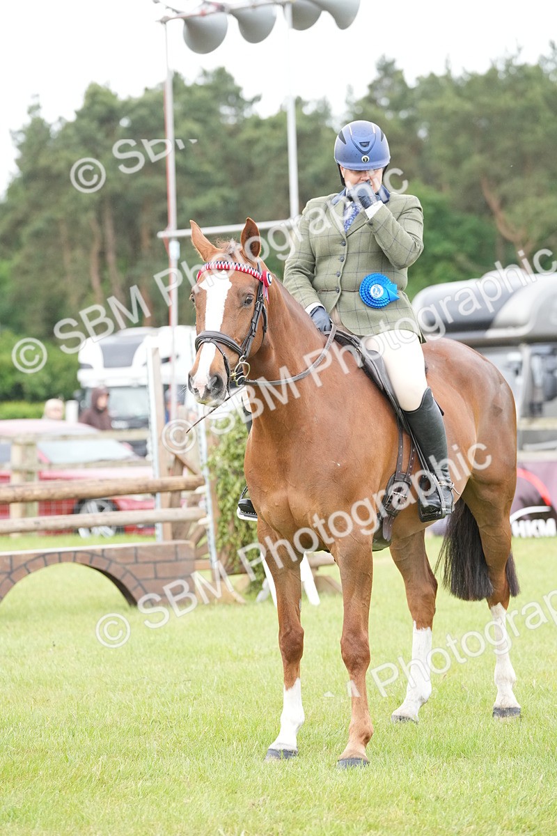 SBM_12845 - Class 97-98 - LIHS BSHA Rising Star Working Show Horse Hunter