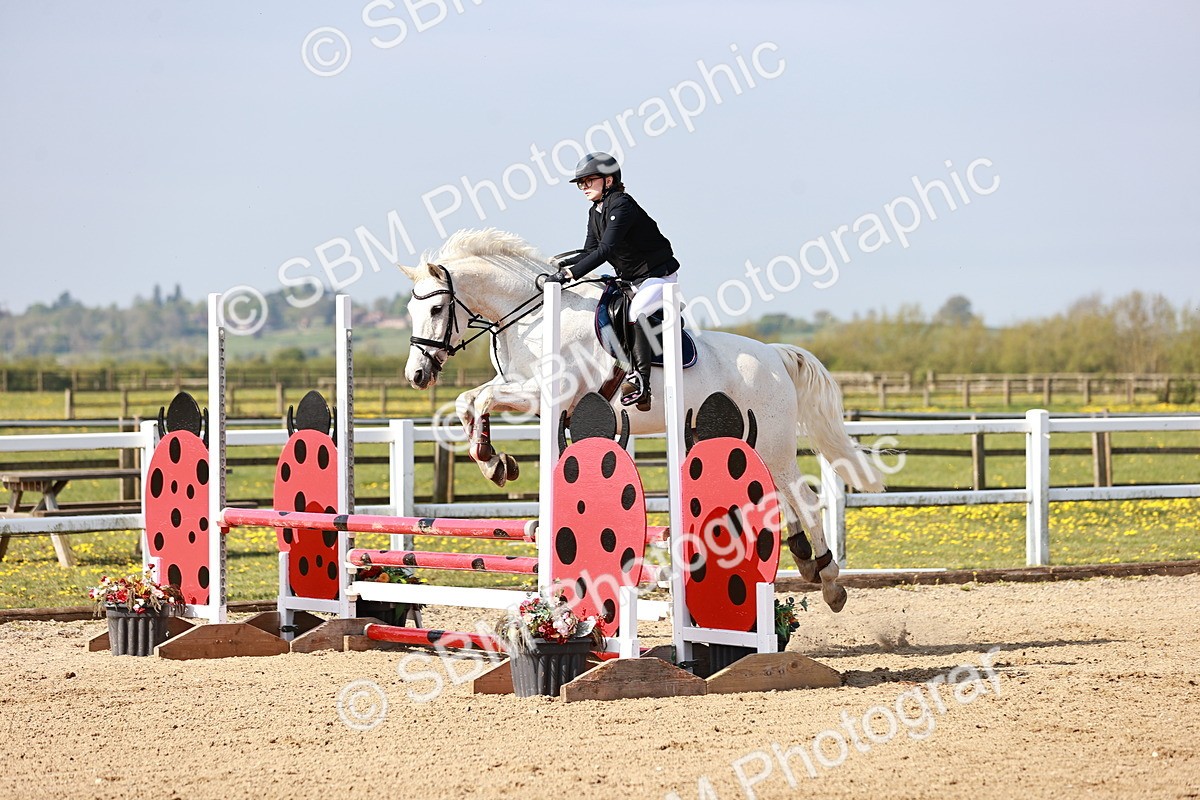  - Class 21 - Senior British Novice - 90cm