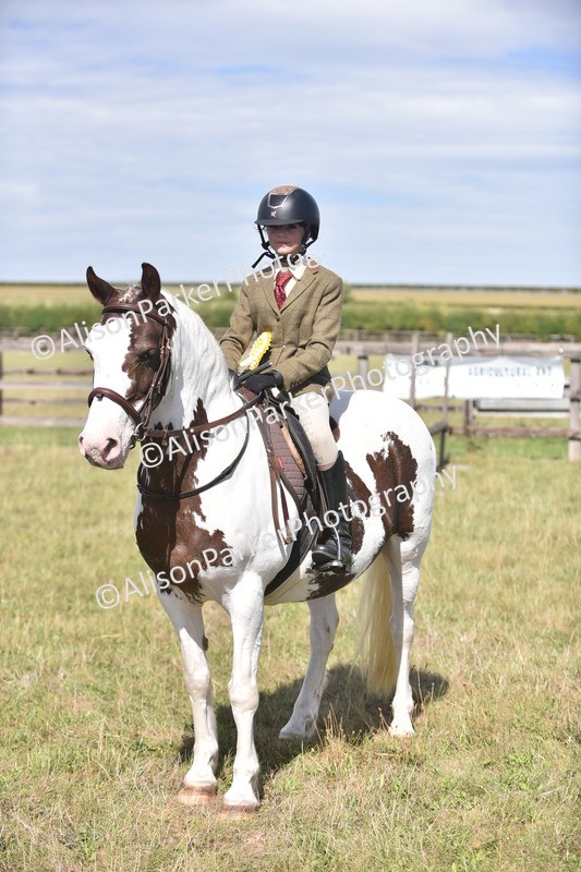 20260906-2675 - Class 12 - 14.2hh and Under
