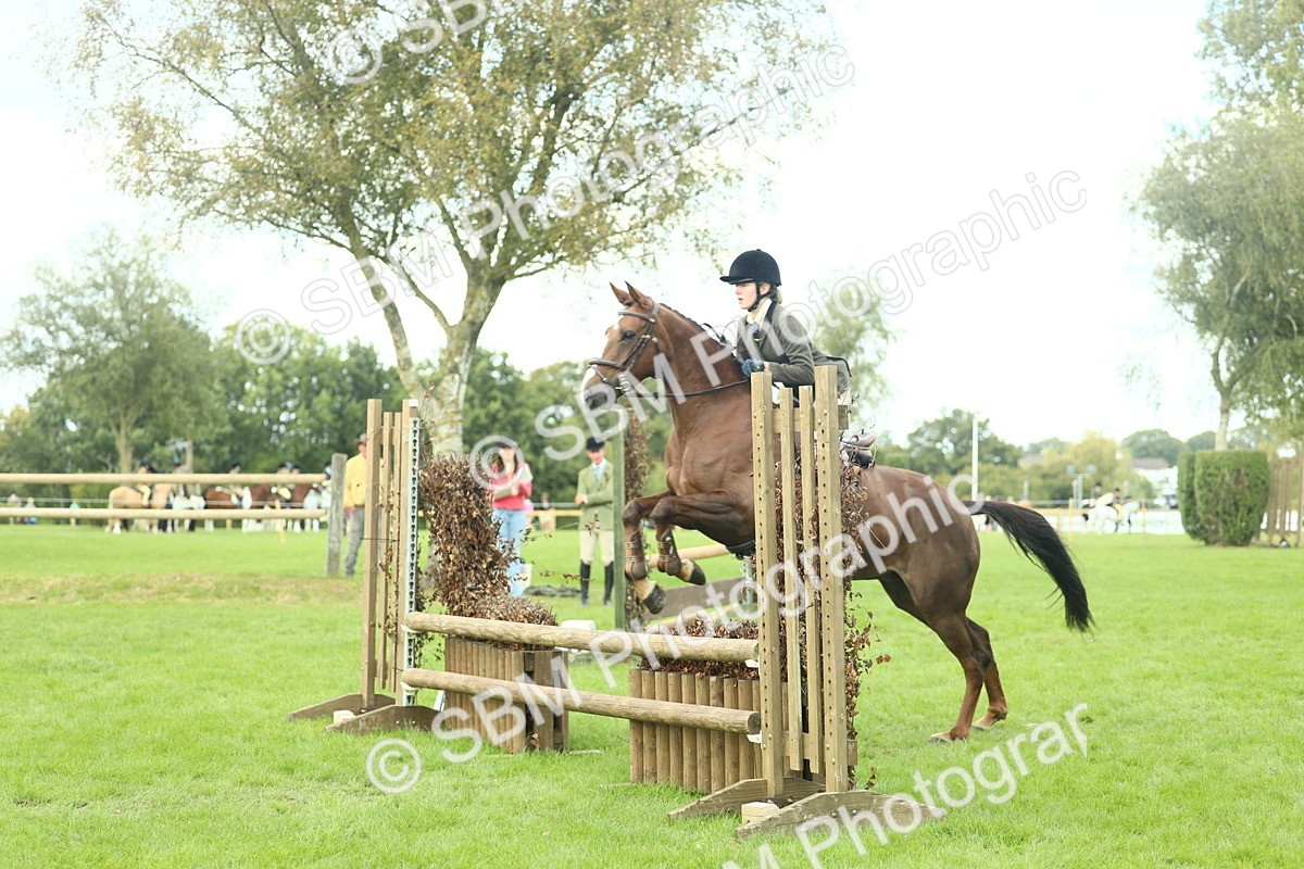 SBM_47963 - S32 - Novice & Newcomers Working Hunter