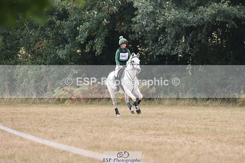 250824A-120520-36592 - 2046-Nancy.Carter-TVs.Rebel