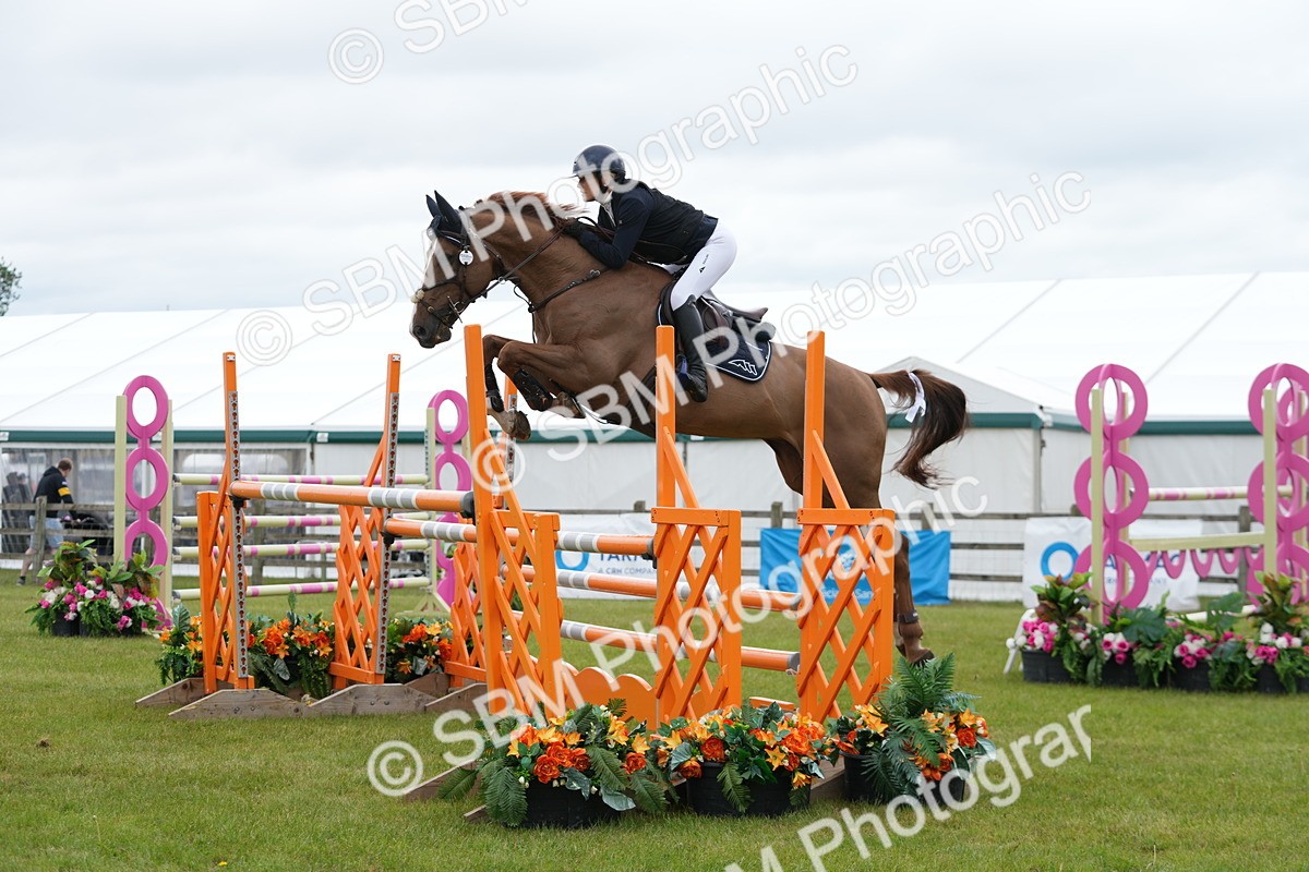 SBM_03190 - Class 201 - British Horse Feeds Speedi Beet Horse of the Year Show Grade  C