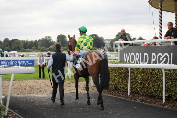 yr18082022r6-23 - Race 6 4.45 pm OR8wellness ebfstallions Nursery Handicap