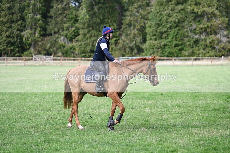 WJ7_9611 - Time 13:13 to 13:55