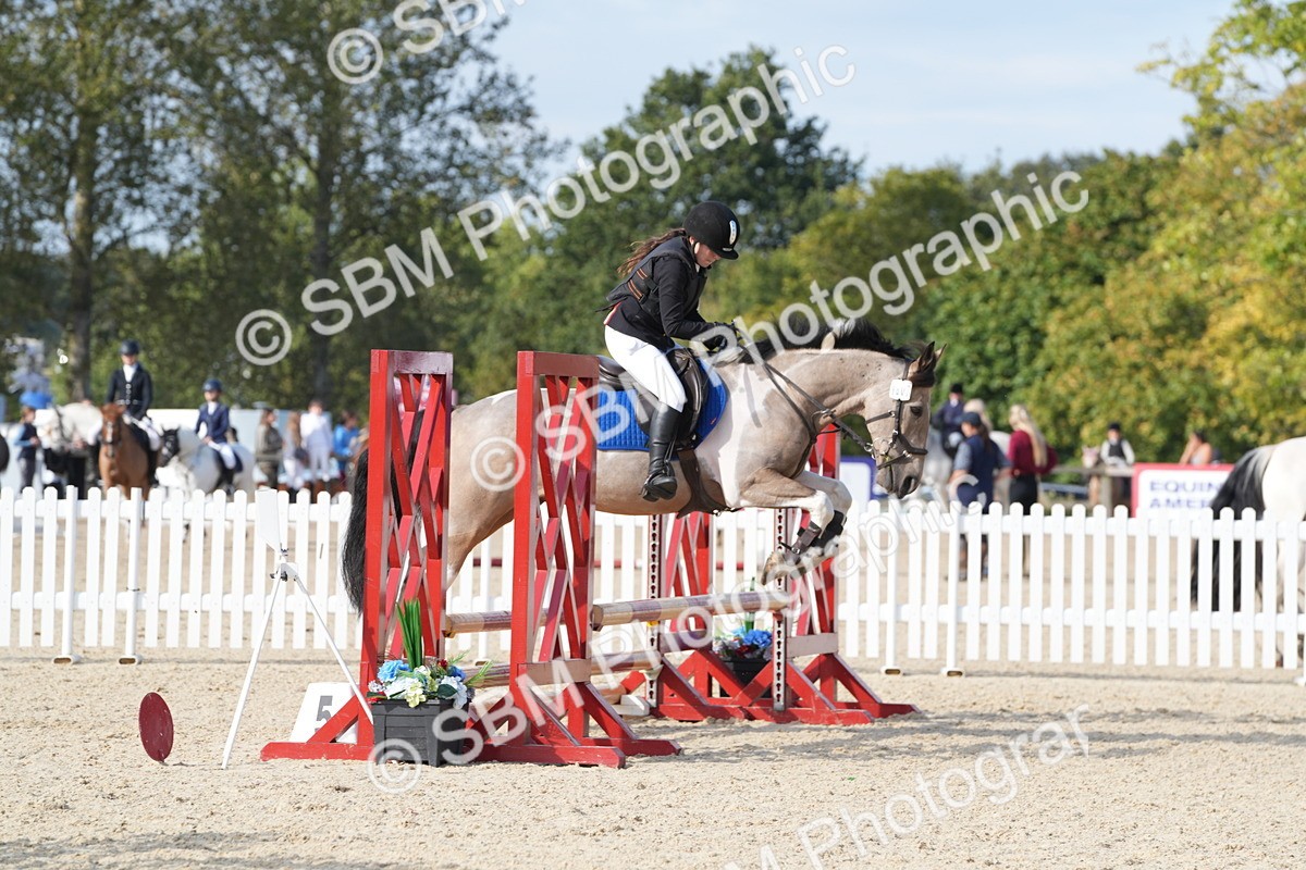 SBM_48767 - J22 - Junior Horse 65cm Championship