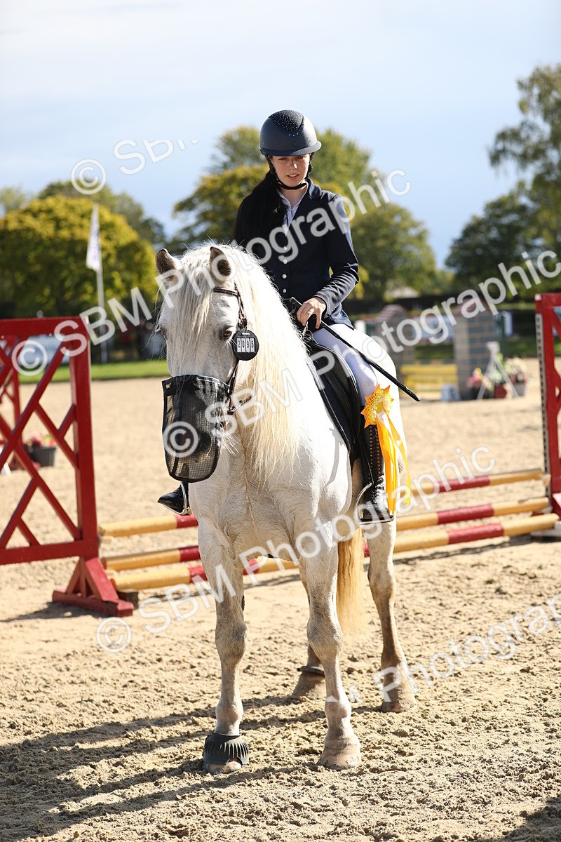 SBM_37372 - J20 - Junior Horse 50cm Championship