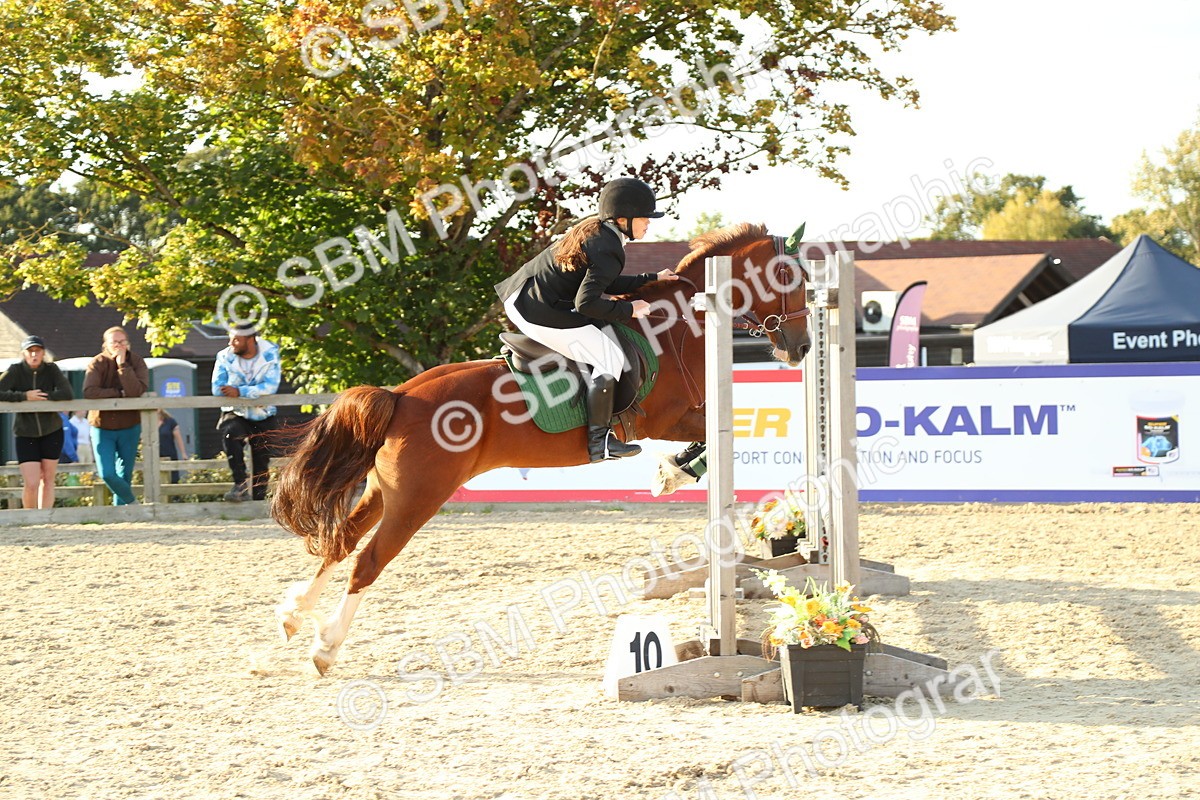 SBM_53766 - J8 - Junior Pony 65cm Championship