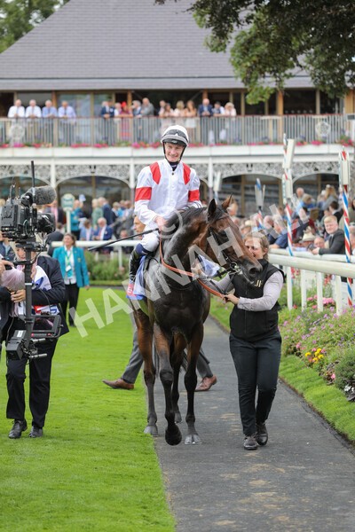 yr17082022r3-56 - Race 3 3.00pm Sky Bet Great Voltigeur Stakes