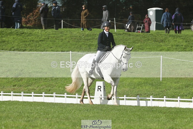 251023A-143852-05006 - G-522-Sue.Parkes Inc Trot Up